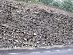 Brallier Formation PA Turnpike MM138.JPG