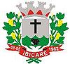 Official seal of Ibicaré