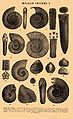 переименовать в File:Brockhaus and Efron Encyclopedic Dictionary b81 424-0.jpg