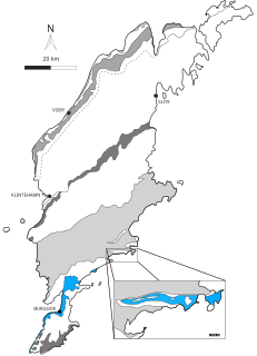 <span class="mw-page-title-main">Burgsvik Beds</span> Sequence of limestones and sandstones found in Sweden