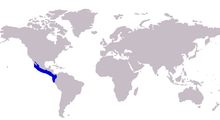 Carangoides otrynter distribution.png