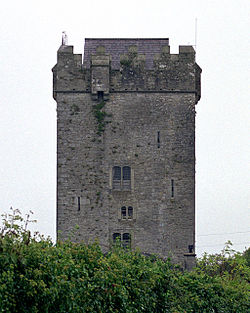 Castlefergus veya Ballyhannon Kalesi