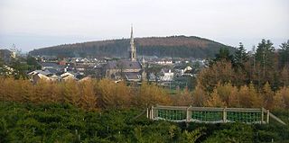 <span class="mw-page-title-main">Castlewellan</span> Town in County Down, Northern Ireland