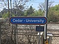Cedar-Universiteit (4).jpg