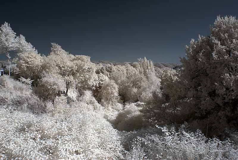 File:Ceret 2013 07 25 13 IR M8.jpg