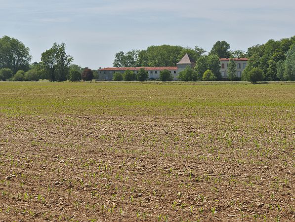 Français : Château Bertier, derrière un champs de maïs