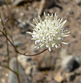 in Death Valley, California