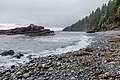 * Nomination Chin Beach, Juan de Fuca Trail, Vancouver Islan --Podzemnik 00:20, 18 July 2018 (UTC) * Promotion Felicituous composition and very good quality. -- Johann Jaritz 02:06, 18 July 2018 (UTC)