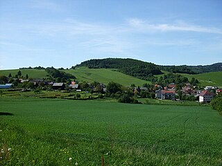 <span class="mw-page-title-main">Chodská Lhota</span> Municipality in Plzeň, Czech Republic