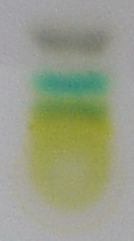 Tập_tin:Chromatography_of_chlorophyll_-_Step_6.jpg