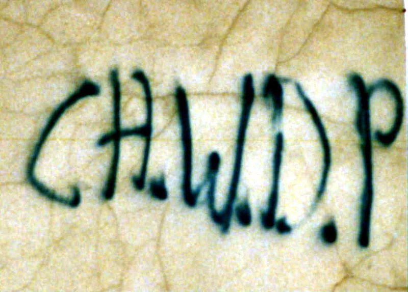 File:Chwdp graffiti.jpg