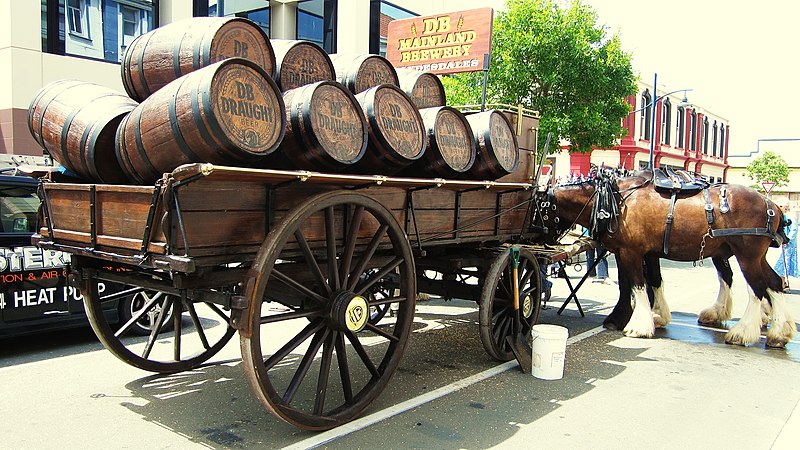 File:Clydesdales in Timaru - panoramio (1).jpg