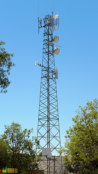 File:Communications tower with galahs, Mukinbudin, 2014.JPG