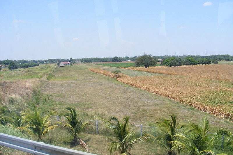 File:Cornfields - panoramio.jpg