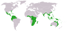 Approximate world distribution of living Cycadales Cycads world distribution.png