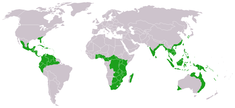 File:Cycads world distribution.png