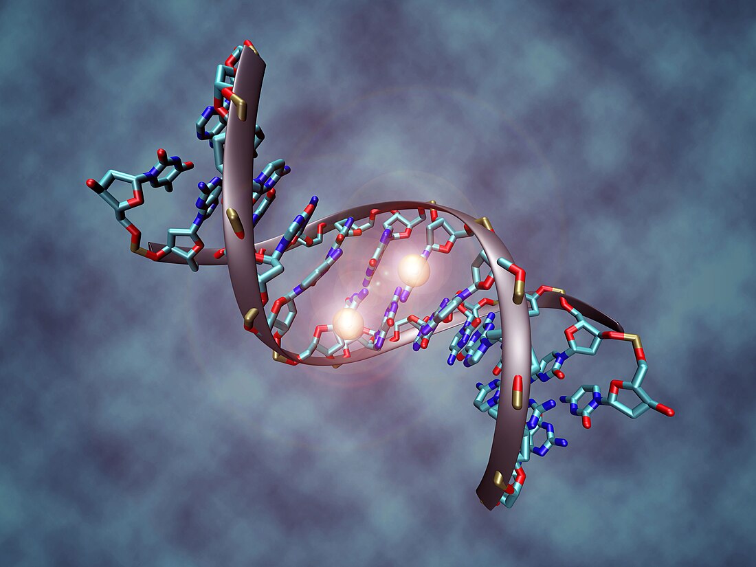 Methylace DNA