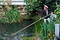 * Nomination Dali, Yunnan, China: Woman with traditional Yunnan head gear, cleaning a fish pond with a brailer --Cccefalon 04:20, 17 July 2014 (UTC) * Promotion  Support Good quality. --XRay 06:13, 21 July 2014 (UTC)