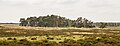 * Nomination: Deelerwoud, (the eastern part.) Panorama of heathland. --Agnes Monkelbaan 04:05, 6 June 2024 (UTC) * * Review needed