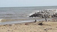 El dia després del temporal Glòria les destrosses eren notables i el mar s'havia endut bona part de la platja, però feia bon temps i les onades eren espectaculars.