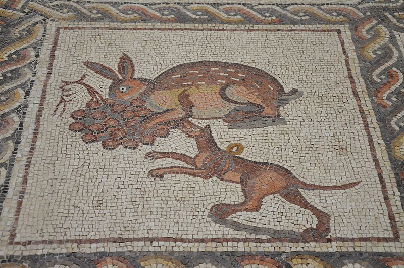 File:Detail of the Lod Mosaic, a rabbit eating grapes and Lakonian hunting dog wearing harness, mosaic believed to belong to a large and well-appointed Roman house and is dated to about A.D. 300, found in Lod, Israel (13670010443).jpg