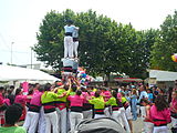 Diada castellera de les festes de primavera del 2014 a Sant Feliu de Llobregat. Hi actuaven els Castellers de Sant Feliu (camisa rosa), els Castellers de Viladecans (camisa verda) i els Castellers de Santa Coloma (camisa blau cel).Template:Location dec