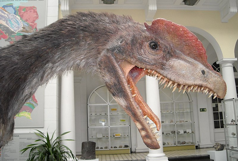 800px-Dilophosaurus_wetherilli_2.jpg