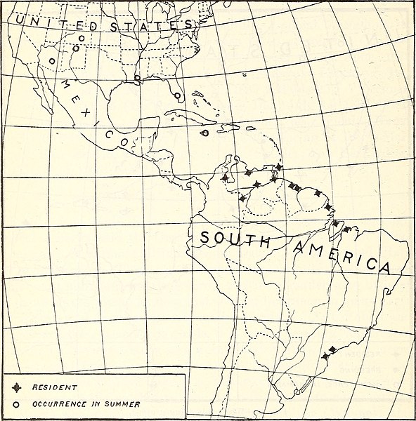 File:Distribution and migration of North American herons and their allies (1913) (14752230322).jpg