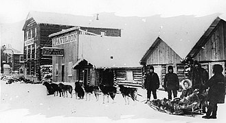 Echipa de câini Dawson Yukon 1899.jpg