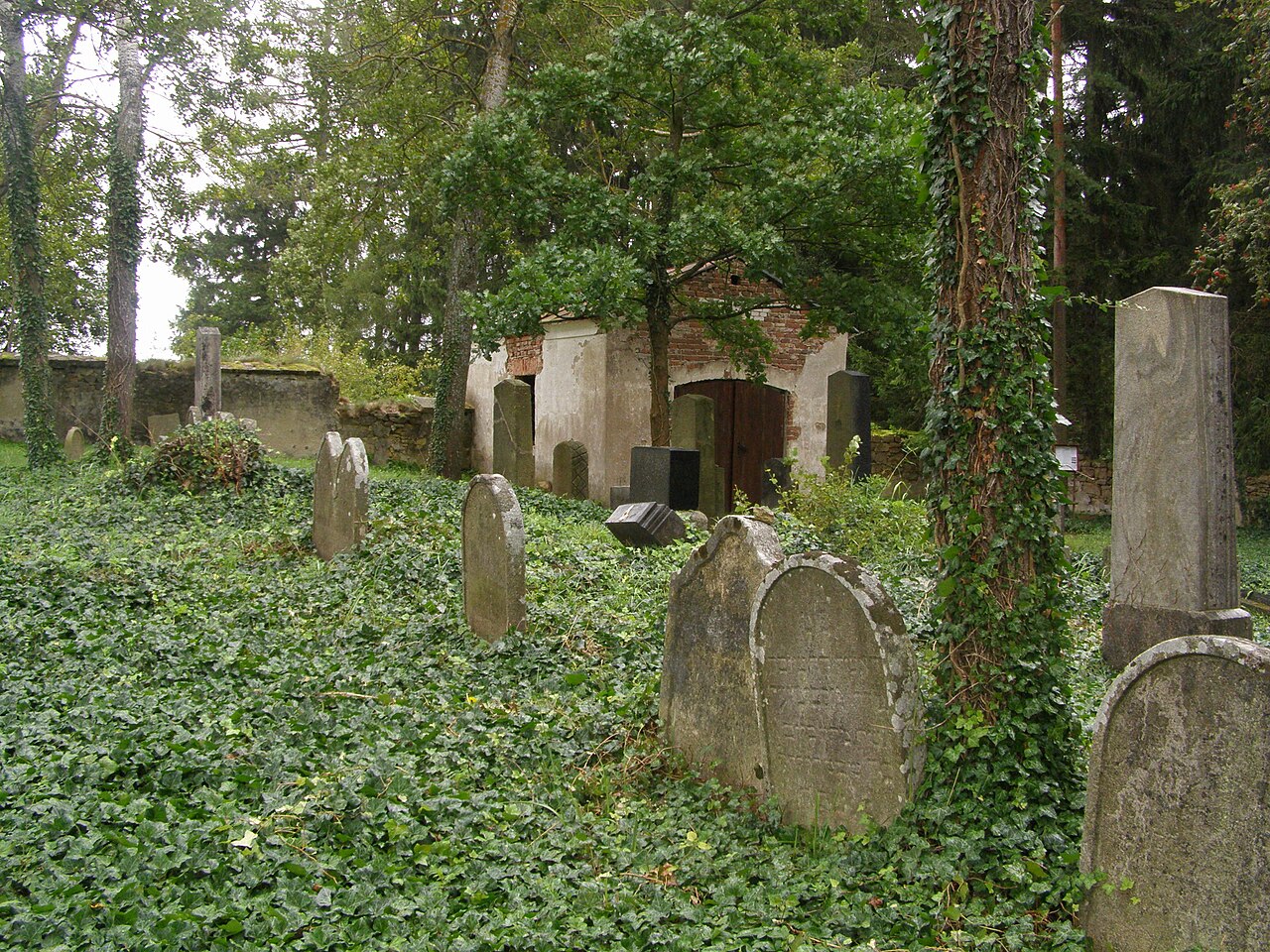 Dolní Bolíkov, židovský hřbitov 09.jpg