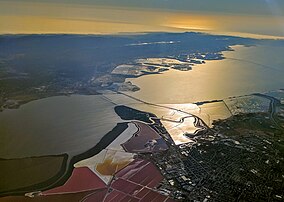 Don Edwards San Francisco Bay National Wildlife Refuge.jpg