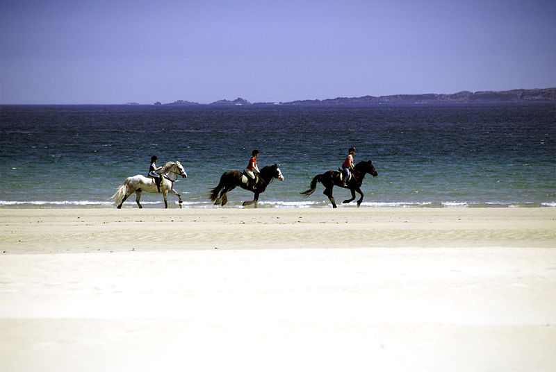 File:Donegal beaches (2579124526).jpg