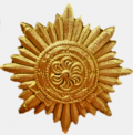 Medalha do Povo Oriental em ouro (Ostvolkmedaille) .png
