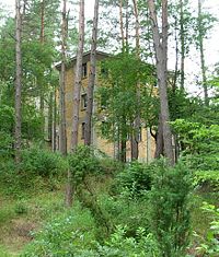 Ein Exploseum-Gebäude im Wald