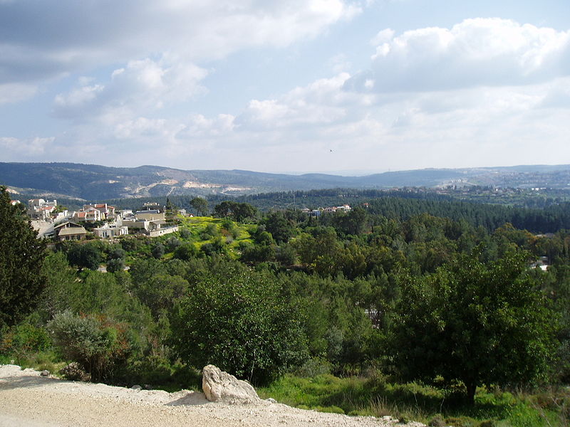 File:Eshtaol Forest.jpg