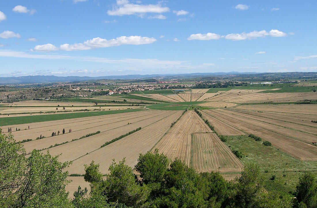 Étang de Montady