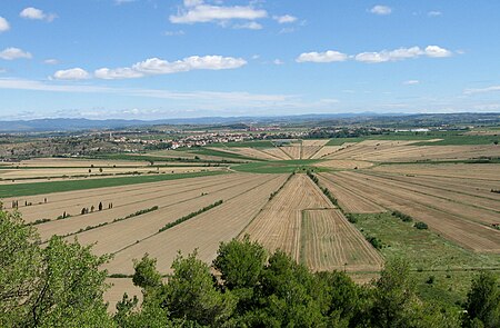 Etang de Montady