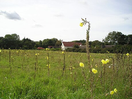 Red Lodge (Suffolk)