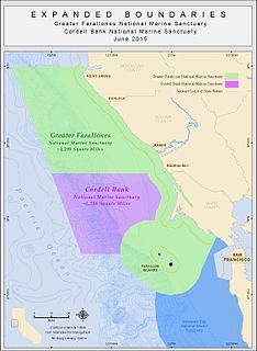 Greater Farallones National Marine Sanctuary marine protected area in California, USA