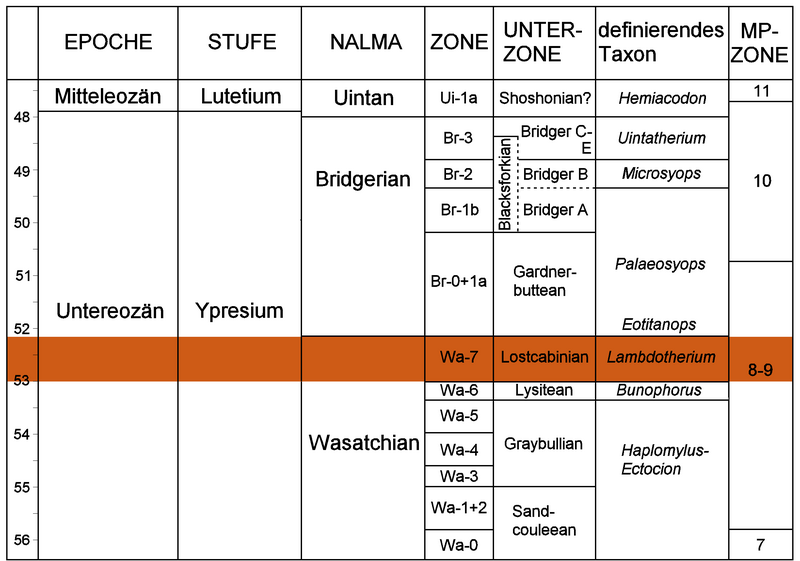 File:FBM-Position Stratigraphy.png