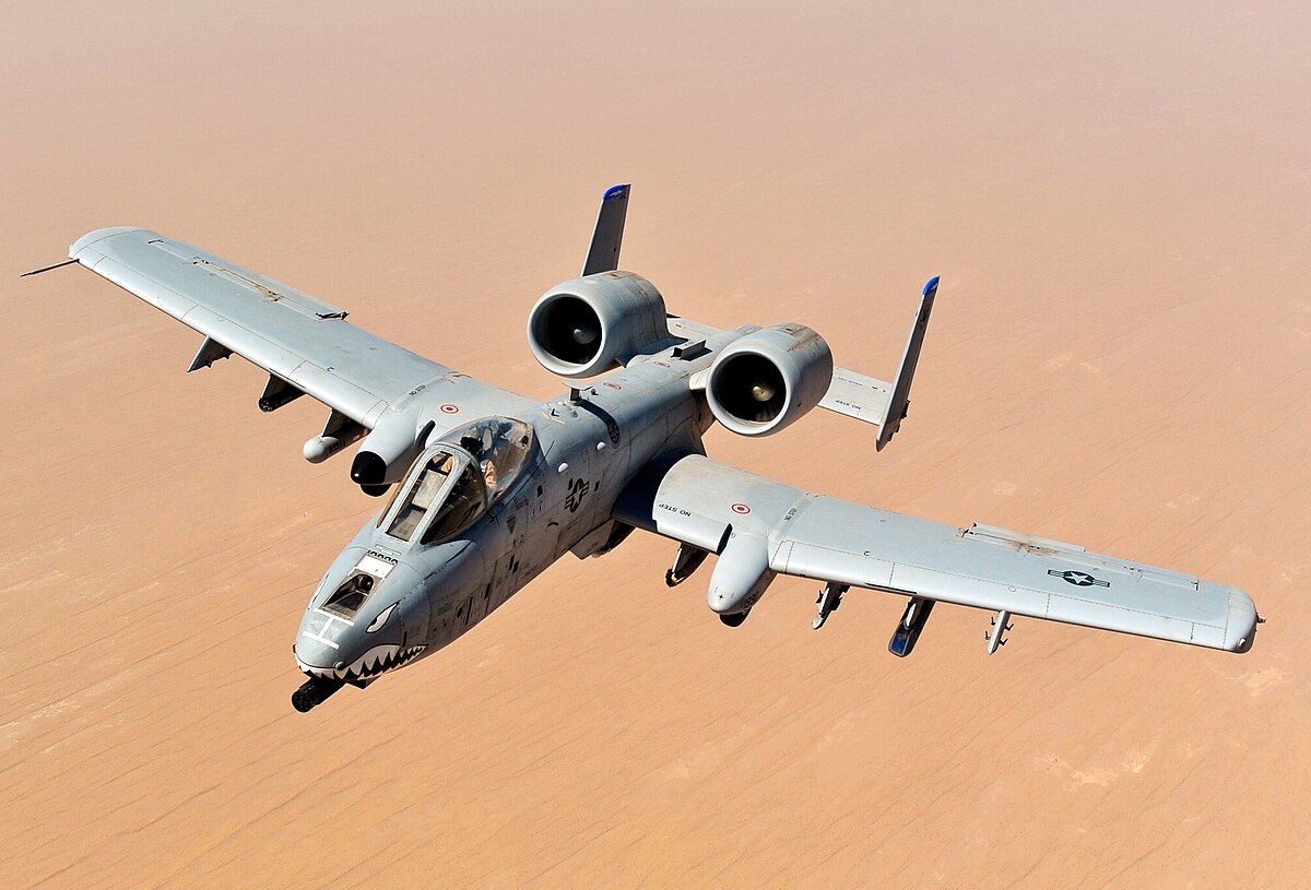 a 10 warthog shark plane