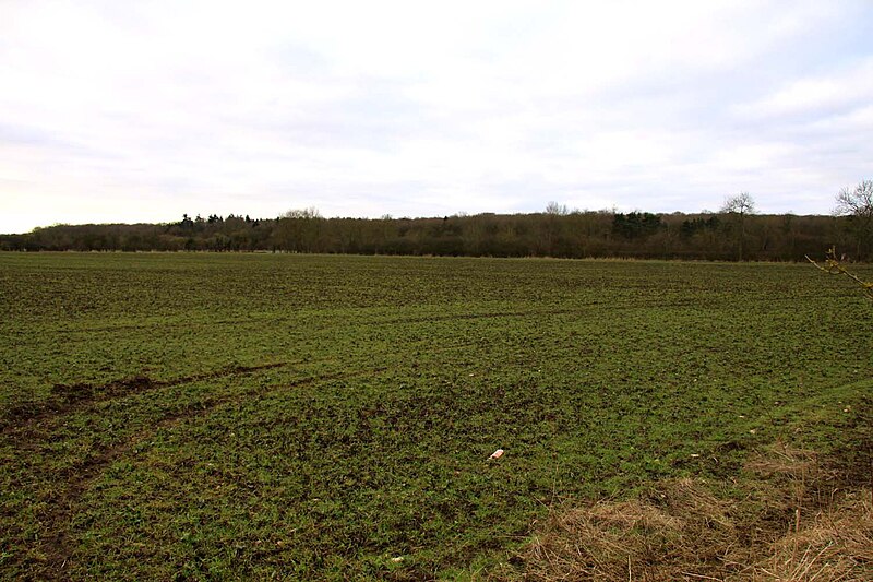 File:Field by Stanton Great Wood - geograph.org.uk - 1710890.jpg