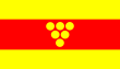 Opština Negotino – vlajka