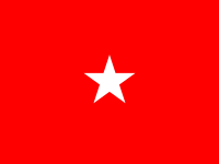 Flag of a United States Army brigadier general.svg