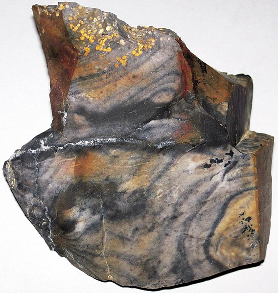 File:Flint (Vanport Flint, Middle Pennsylvanian; Nethers Flint Quarries, Flint Ridge, Ohio, USA) 218.jpg