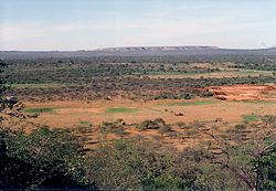 Veduta da Swaneng Hill, nei pressi dell'inizio del Kalahari