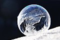 * Nomination Frozen soap bubble. By User:Larry-pilot --IamMM 06:50, 17 April 2022 (UTC) * Promotion  Support Good quality. --Mike Peel 12:05, 17 April 2022 (UTC)