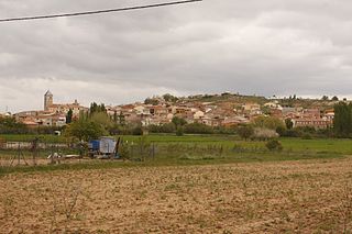 <span class="mw-page-title-main">Fuentespina</span> Municipality in Castile and León, Spain