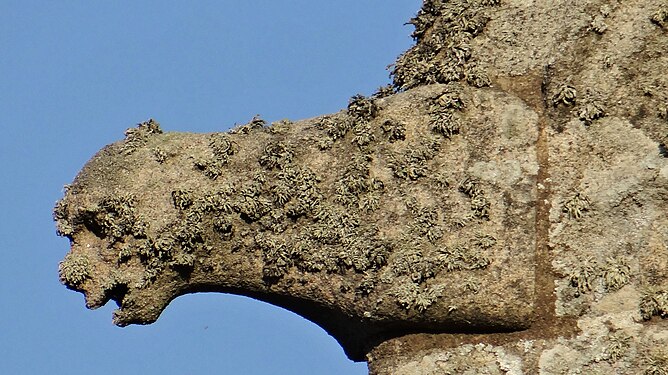 Gargoyle ofChapel Notre-Dame-du-Mûrier, France