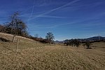 Geislingen meadow landscape near Balingen-DSC0479.jpg